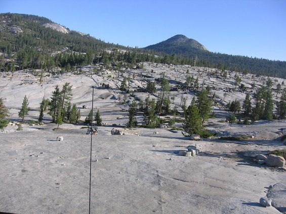 Rocky mountain landscape with scattered pine trees and a clear blue sky