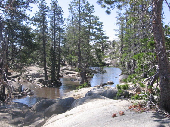 Rocky stream bed with pine trees and a small body of water
