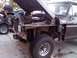 downsized_0610092025.jpg