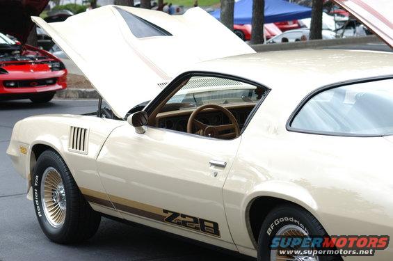 damenscarshow-029.jpg 