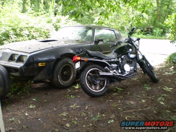 Motorcycle parked next to a black car in a wooded area