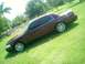 2004 Ford Crown Victoria - This maroon 2004 Ford Crown Victoria is shown from a 3/4 front angle, parked on a grassy lawn with trees in the background.
