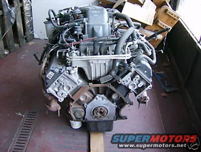 Engine assembly with hoses and wiring. Part number 461 visible on block