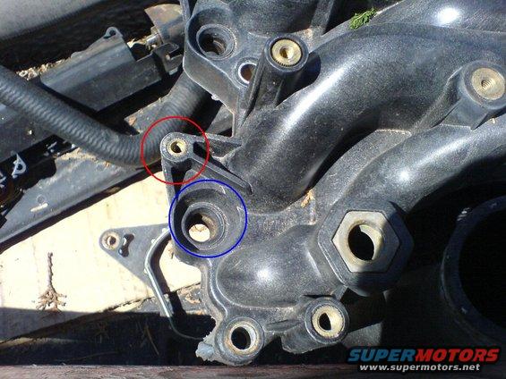 picture-024.jpg red circle is COP insert, blue is injector seat.