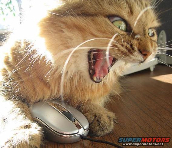 Cat yawning with its paw on a computer mouse. SUPERMOTORS.NET logo in corner