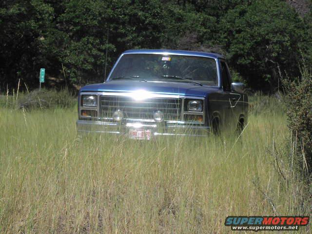 in the weeds...