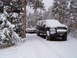 1956 Ford Fairlane - A black pickup truck sits covered in snow on a winter day, parked on a snowy road surrounded by pine trees.