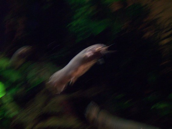 picture-029.jpg 