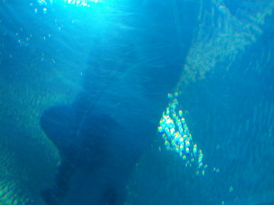 picture-091.jpg 