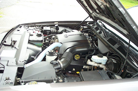 t9.jpg 