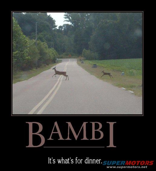 bambi.jpg Bambi

 by Steve83