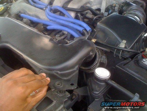 Engine bay with blue spark plug wires and a hand near the air intake