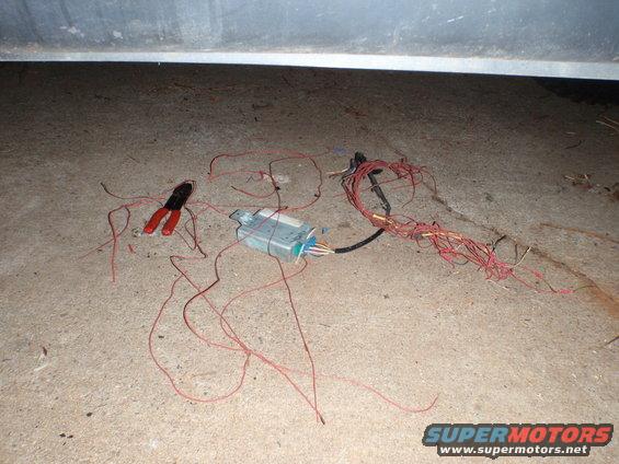 Junky wiring for the TCM
