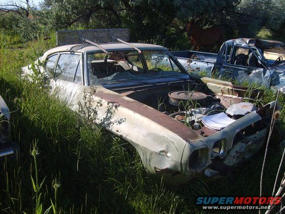 Abandoned 1970s coupe with broken windshield and rusted body panels, overgrown with grass. Another vehicle is visible behind it