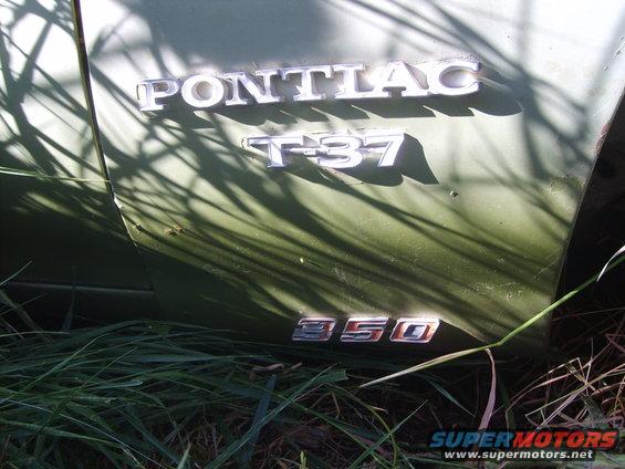 Pontiac T-37 badge and 350 engine designation on side of car