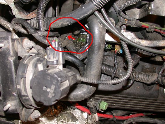 Engine bay leak highlighted in red circle
