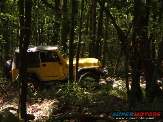 Yellow 2003 Jeep Wrangler driving on a rocky, wooded trail