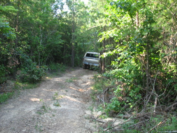 1978 Ford Bronco on a dirt road in a wooded area, viewed from the rear