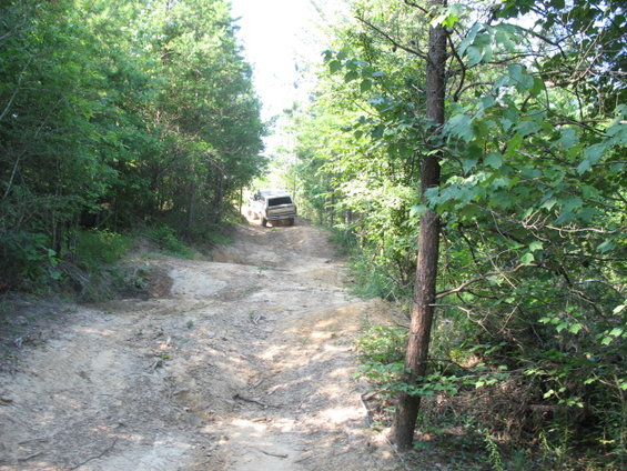 SUV driving up a dirt trail through trees