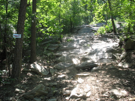 Rocky trail in a forest with a sign reading "RAISING HELL"