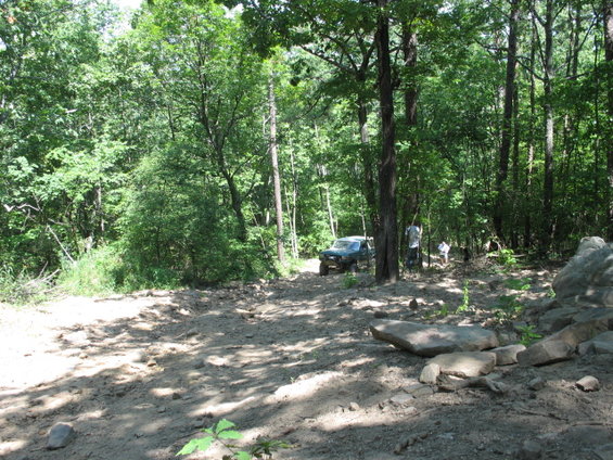 Green SUV on a forest dirt path
