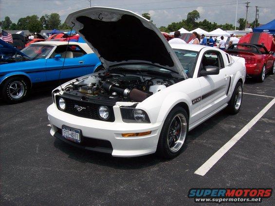 White Ford Mustang GTCS with hood open, showing engine. Black wheels, black stripe on side. Parked at an outdoor event