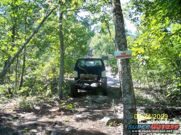 1980 Ford Bronco photo