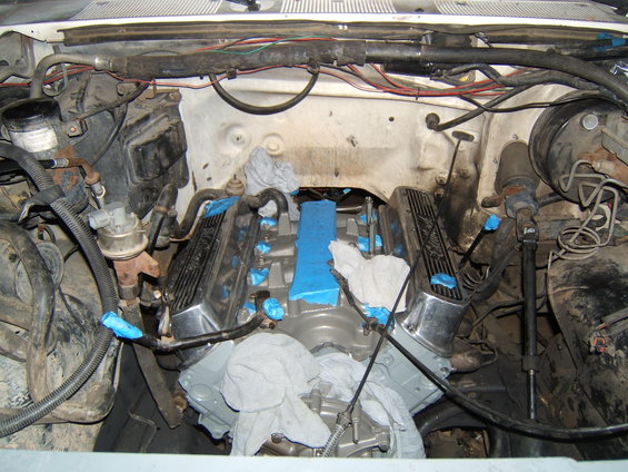 bronco-041.jpg Took a bit of convincing, but, motor finally in.