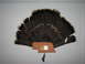 1971 International Travelall - A mounted turkey tail fan displays a plaque with hunting details, attached to a wooden cutout of Nebraska.