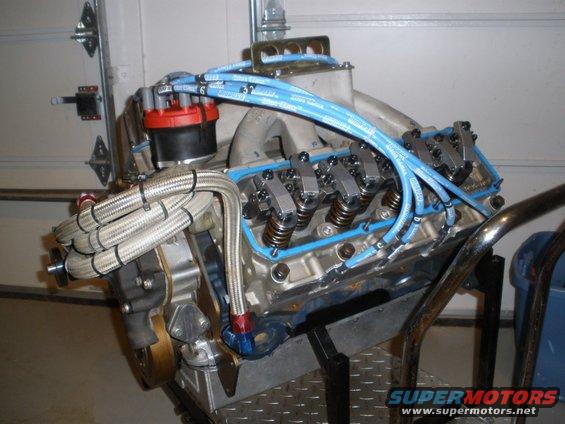 V8 engine with blue spark plug wires and a red distributor cap