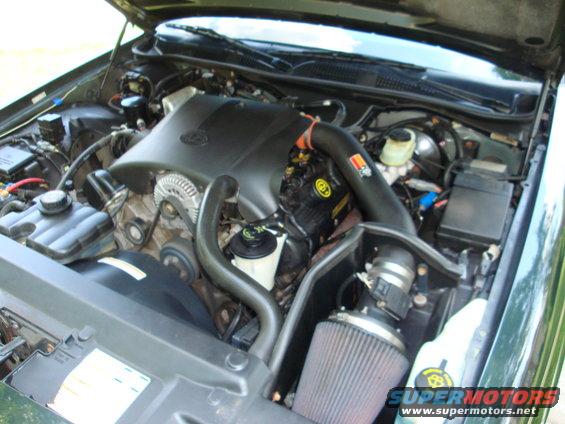 1999 Ford Crown Victoria engine bay with K&N air intake