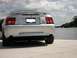 1998 Ford Taurus photo