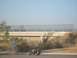 1985 Honda CMX250 Rebel - A motorcycle rider travels alongside a highway overpass on a clear day.