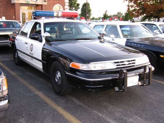 picture-147.jpg