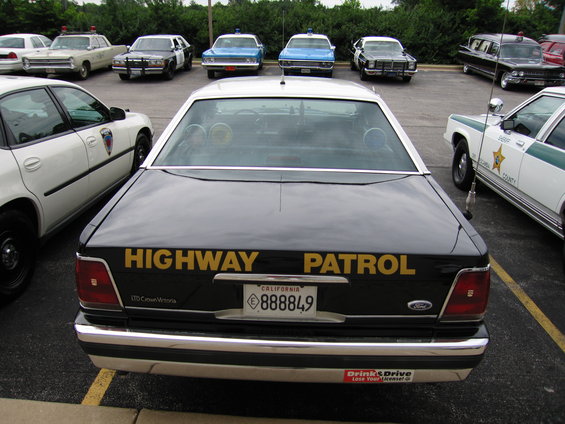 picture-173.jpg 