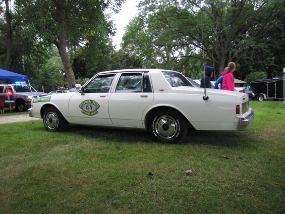 picture-231.jpg