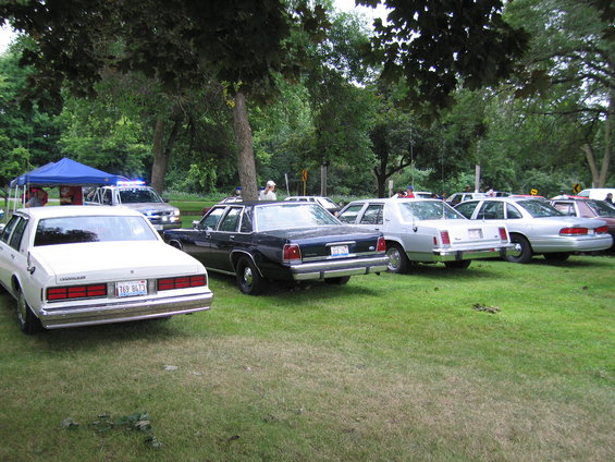 picture-232.jpg