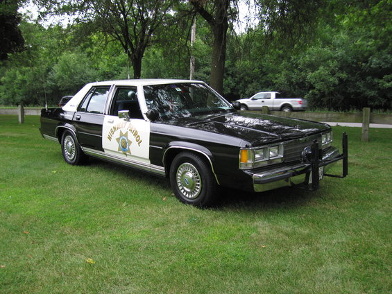 picture-382.jpg 