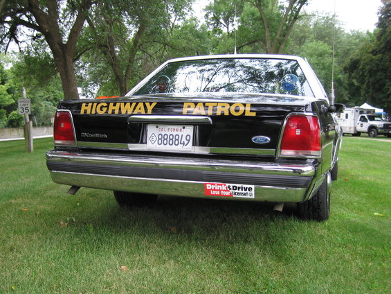 picture-387.jpg 