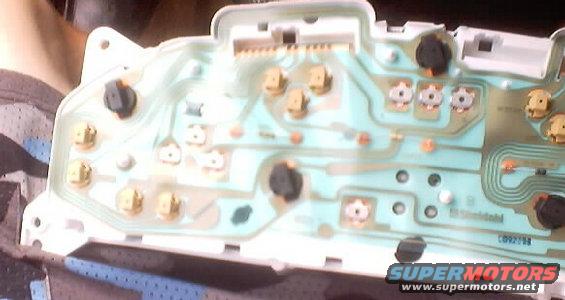 cluster_back_02.jpg 