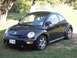 1999 Volkswagen Beetle &ldquo;daisy&rdquo;