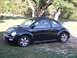 1999 Volkswagen Beetle - A black 1999 Volkswagen Beetle is parked on a grassy area with trees in the background.