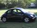 1999 Volkswagen Beetle - Side view of a black 1999 Volkswagen Beetle parked on grass.