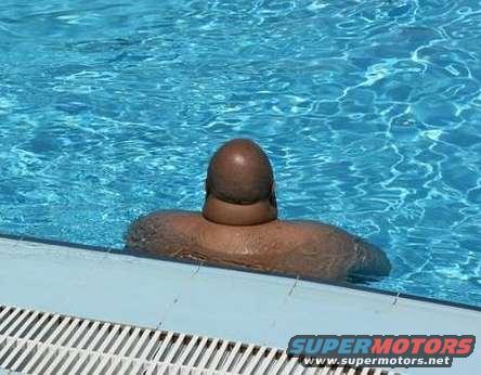 Person's head and shoulders visible in a swimming pool