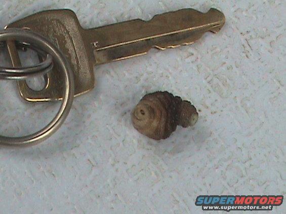 Car key and a small, segmented insect larva on a textured surface