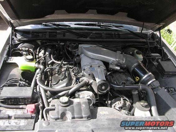 silvermarauder05.jpg Supercharged Engine

Very dirty, the day I got it home from the previous owner.