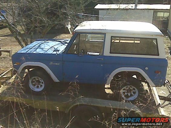 Blue and white Ford Bronco on a trailer, side view, with visible rust and overgrown vegetation