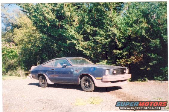 My King Cobra with body work done on bumpers and spoilers.