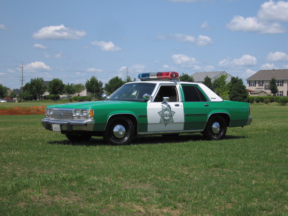 pic-415.jpg 