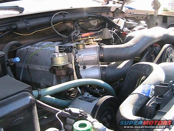 Engine bay with silver 5.8L intake manifold and hoses